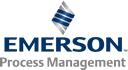 Emerson Process Management logo
